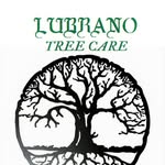 Mike Lubrano - @lubranotreecare - Instagram