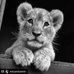 Mike Lück - @lueck2017 - Instagram