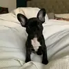 Mike Luck - @mike.luck - TikTok