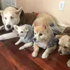 Mike,Luck,Win&Ben - @mlwb99 - TikTok