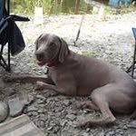 Mike Luckenbach - @luckenbachmike - Instagram