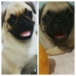 Mike & Lucy - @miike_and_lucy - Instagram