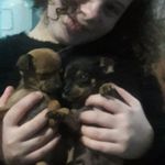 mike e Lucy - @mike._.lucy - Instagram