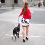 Mike Lucy - @mlucyottawa - Instagram