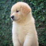 mike lucy - @mikelucy2000 - Instagram