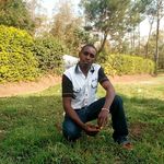 mike lucy - @mikelucy4107 - Instagram