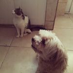 Mike y Lucy - @mike_lucy_ - Instagram