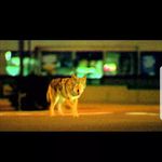 Mike Lude - @mike.lude - Instagram