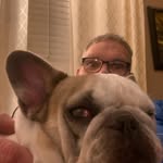 Mike Ludlow - @buddys_boy - Instagram