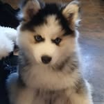 Mike Ludwig - @mikeludwig4 - Instagram