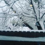 Mike Lueck - @lueck.mike - Instagram