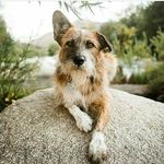 Mike lugard - @mike_lugard21 - Instagram