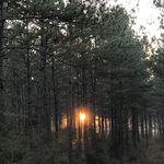 Mike Lukasik - @naturefreak.2.0 - Instagram