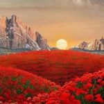 Mike Lunsford - @lunsford9453 - Instagram