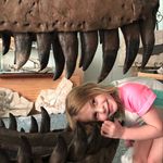 Mike Lyons - @lyons_minerals_and_fossils - Instagram