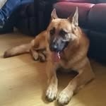 Mike Lyons - @mike.lyons.161 - Instagram