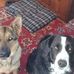 Mike Matlock - Facebook