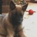 Mike Magers - Facebook