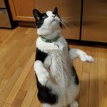 Mike Makepeace - @makepeacemike - Instagram
