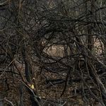 @mikemangrum - Instagram
