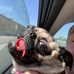Michael Moosmann - Facebook