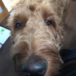 Mike Manson - @1965mikemanson - Instagram
