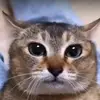 Mike Manson - @mike.manson0 - TikTok