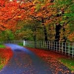 Mike Mansour - @mike0008777 - Instagram