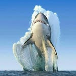 Mike Mantle - @mike.mantle2945 - Instagram
