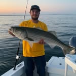 Mike Manzione - @mike_manzione - Instagram
