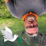 Mike Margolin - Facebook