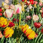 Mike Margolis - @mgm1001001 - Instagram