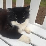 Mike Nancy Marshman - Facebook