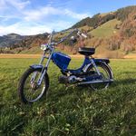 Mike Marty - @mike_marty1 - Instagram