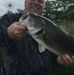 Mike Marty - Facebook