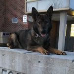 Mike Matarazzo - @mike.matarazzo - Instagram