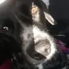 mike mayor - @mike.mayor5 - TikTok