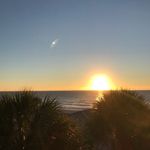 Mike McAleer - @thefloridianflamingo - Instagram