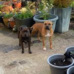 Michael McBain - @mikemcbain6580 - Instagram