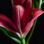 Mike McBain - @imagine_photography_2312 - Instagram