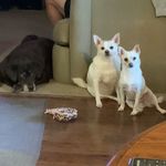 Mike McCarroll - @tbearca - Instagram