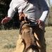 Mike Mccasland - Facebook