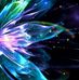 Michael Mccolgan - Facebook