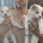 Mike Mcdougal - @mikeymcd9019 - Instagram