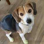 Mike McEntee - @mike.d.mac - Instagram