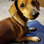 Mike Mcgowan - @mike.mcgowan.980 - Instagram