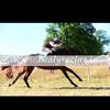 Mikey McGuane - @mikeymcguane - TikTok
