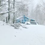 Mike McGuinness - @mcguinnessfarms - Instagram