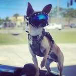 Mike Mchone - @nomadtank - Instagram