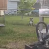 Mike Mckenzie - @mike.mckenzie95 - TikTok